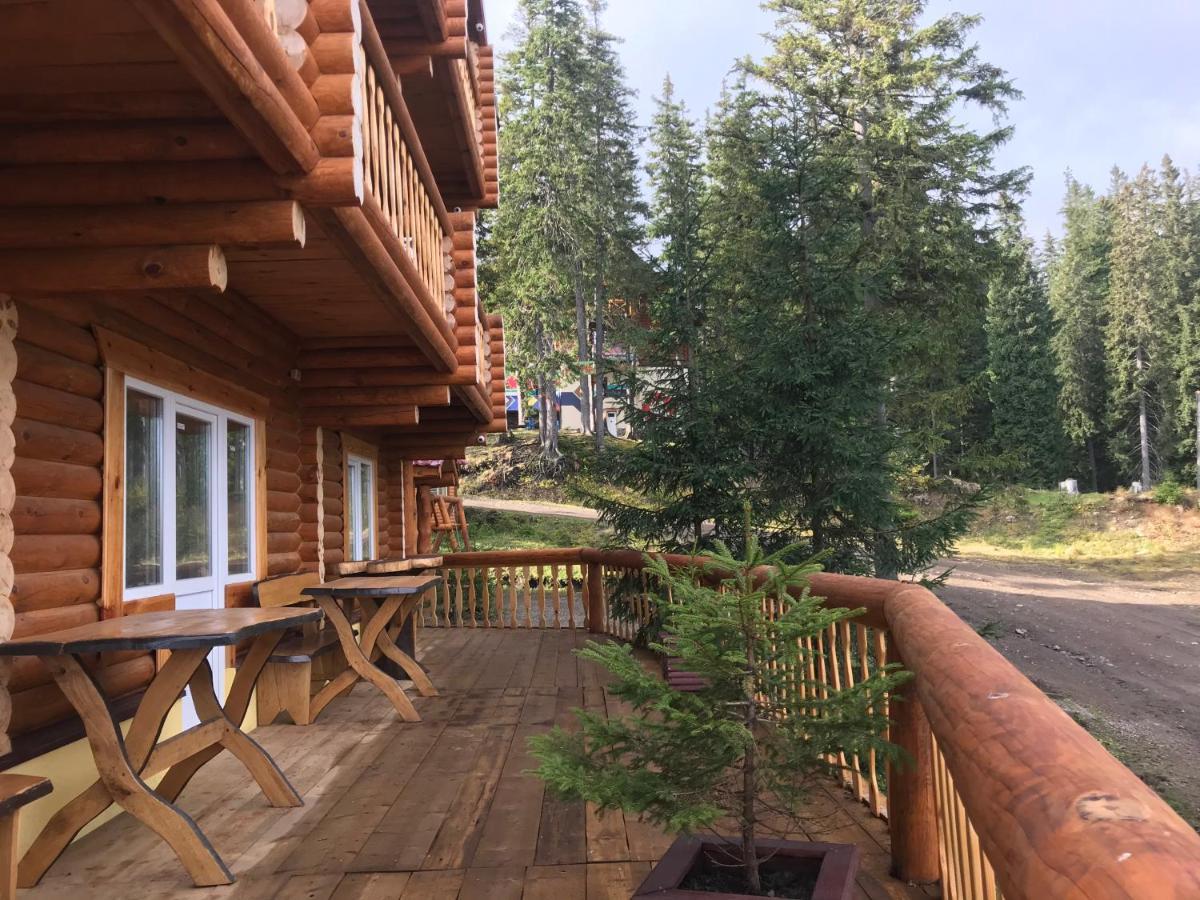 Alpin Eco Chalet & Wellness 드라고브라트 외부 사진