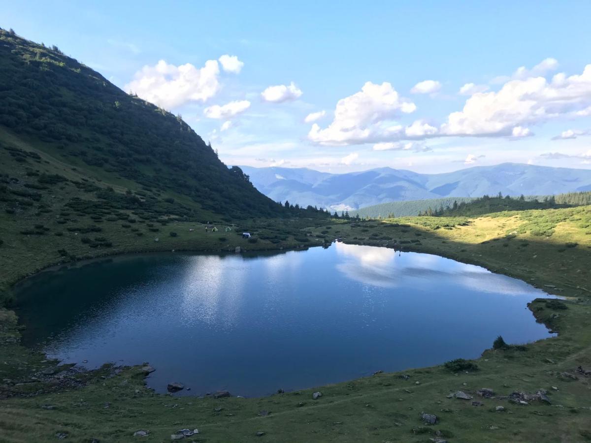Alpin Eco Chalet & Wellness 드라고브라트 외부 사진