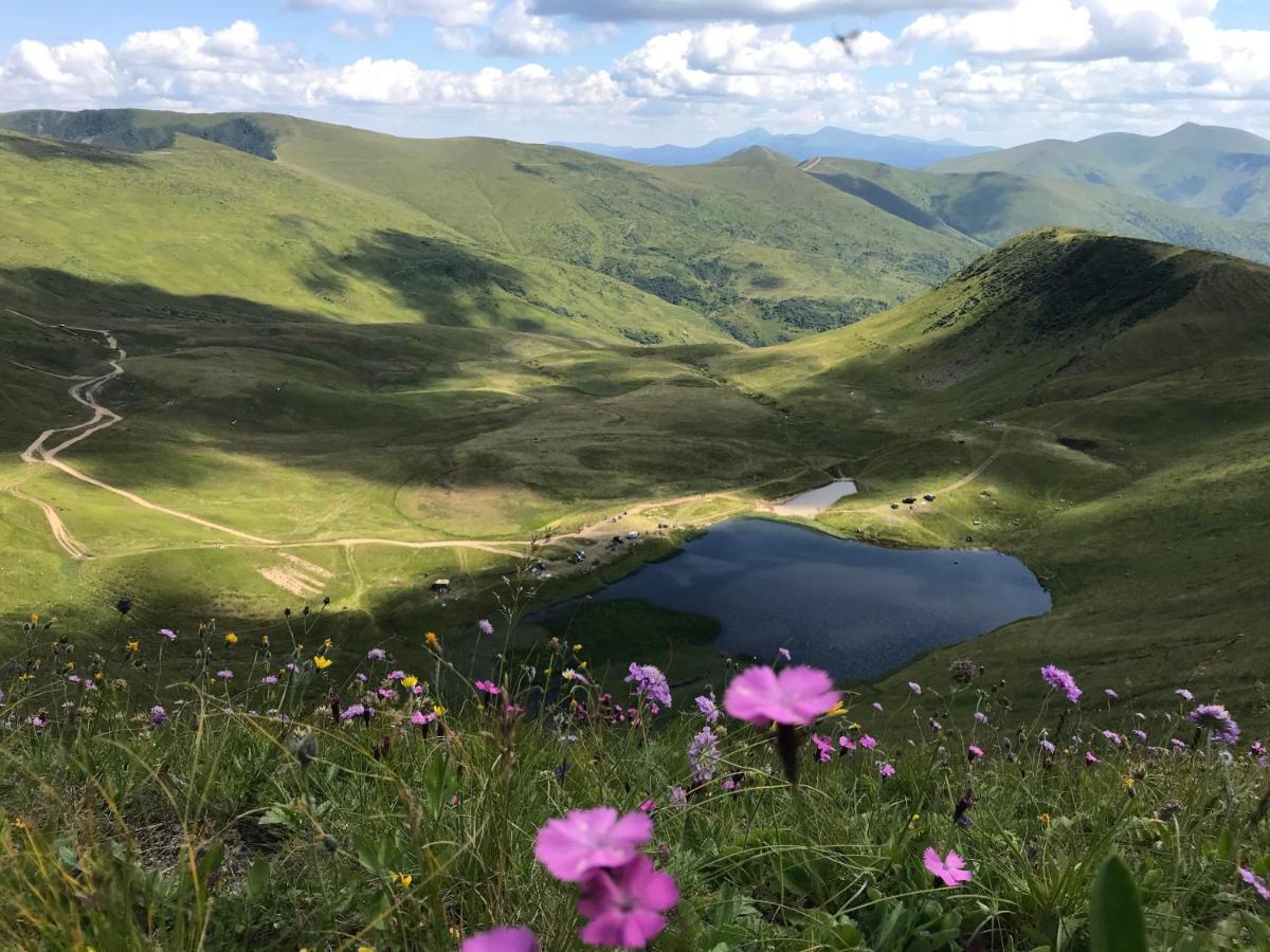 Alpin Eco Chalet & Wellness 드라고브라트 외부 사진