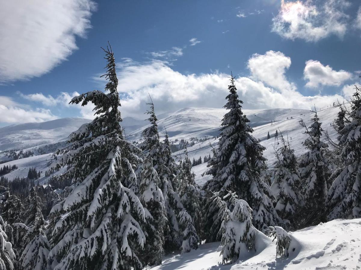 Alpin Eco Chalet & Wellness 드라고브라트 외부 사진