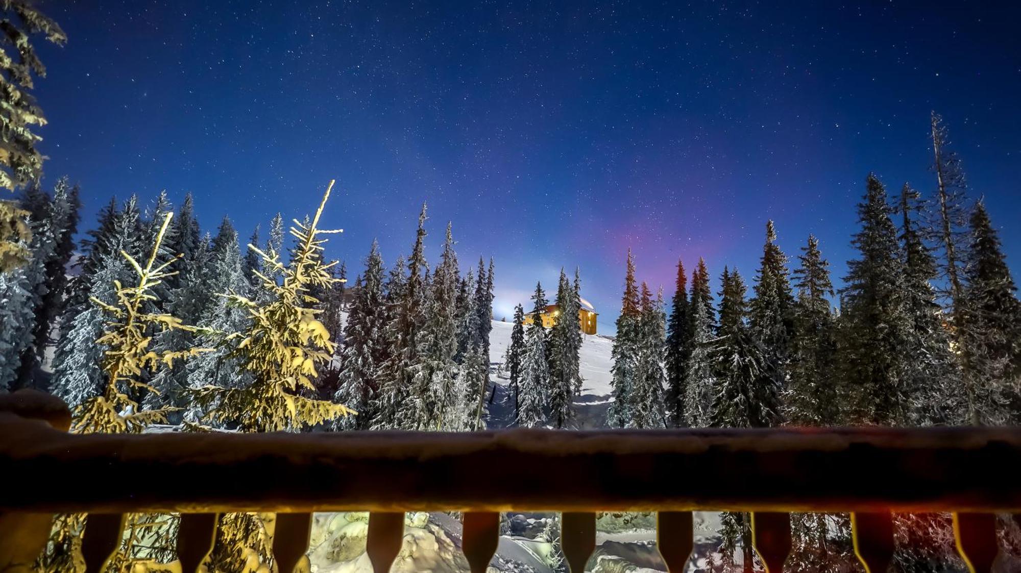 Alpin Eco Chalet & Wellness 드라고브라트 외부 사진